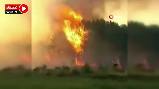 Arjantin’deki orman yangınlarında 3 bin 900 hektarlık alan kül oldu