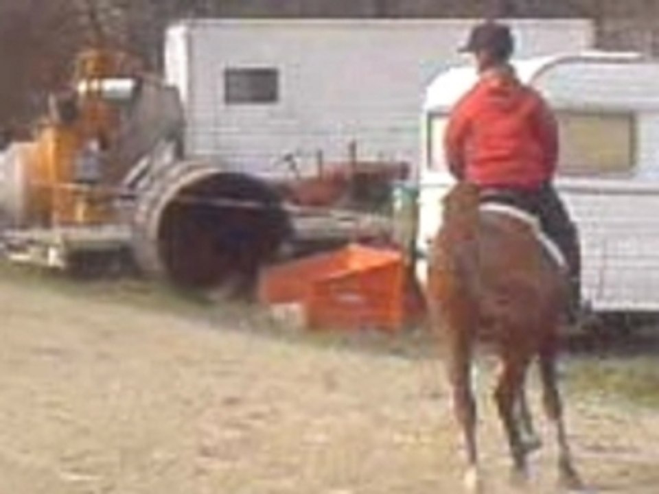 Kouros (L'ABROUTIS ^^) et Milou