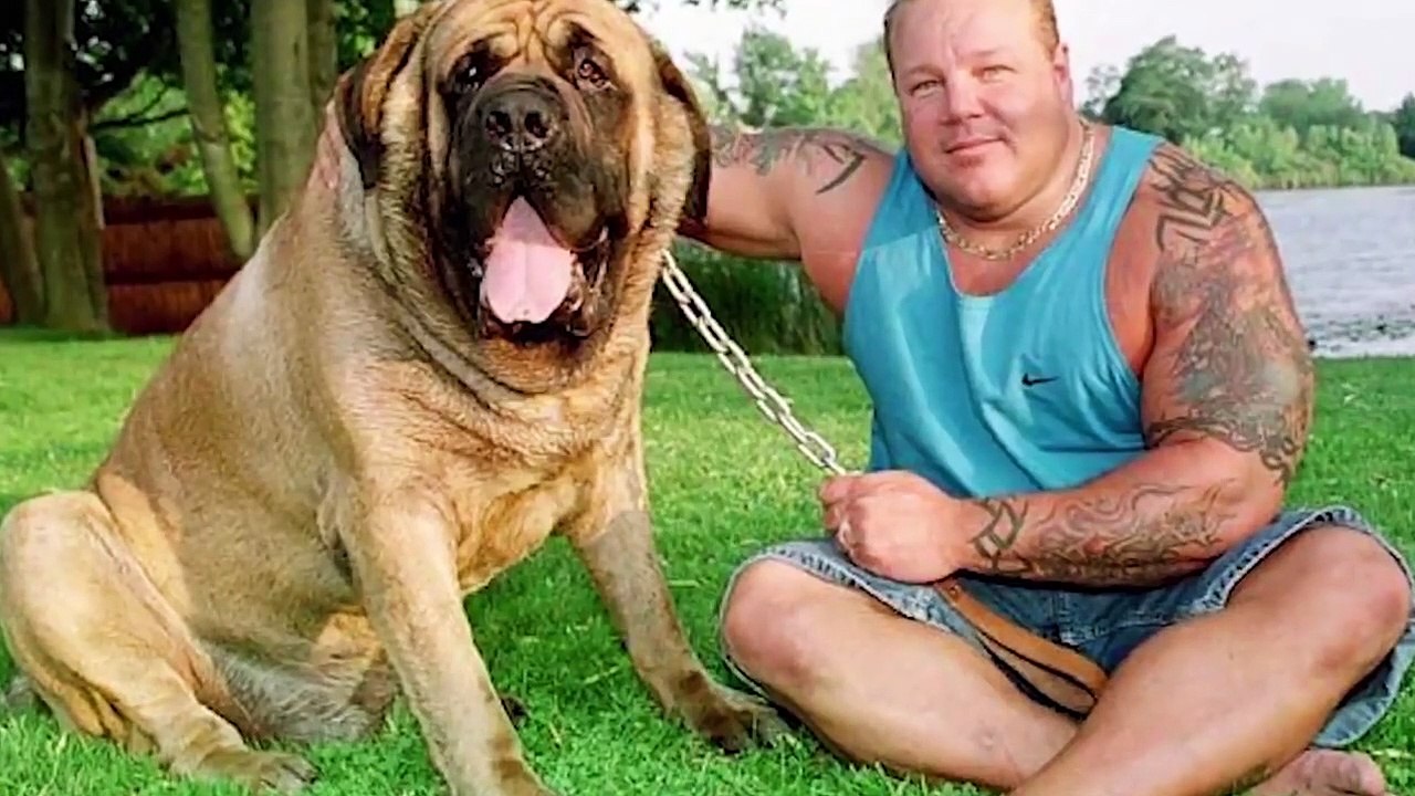10 MOST UNUSUAL DOGS IN THE WORLD