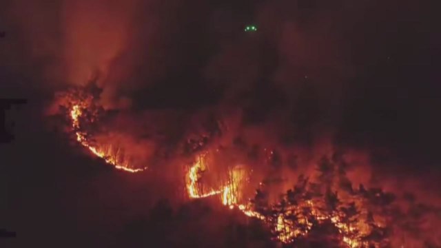 순천 산불 강풍 타고 확산...한파 속 전국 곳곳 화재 / YTN