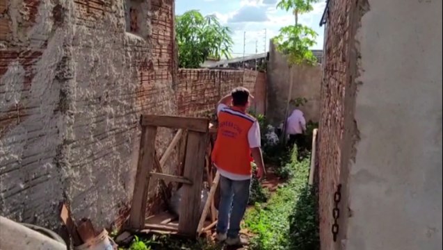 Defesa Civil faz remoção de enxame de abelhas em residência no Parque dos Ipês