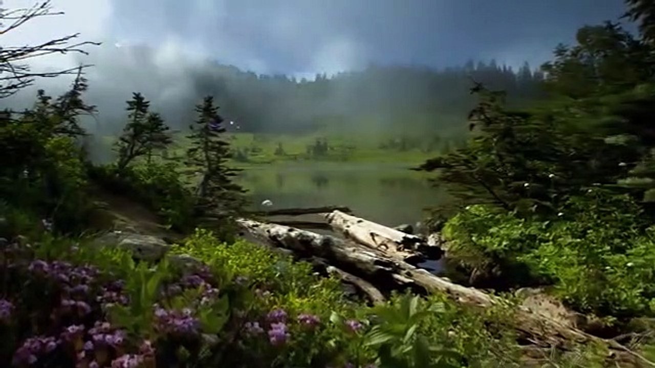 Feeling nostalgic with beautiful music and familiar nature