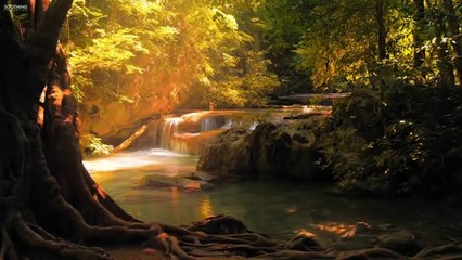 Beautiful morning with the most beautiful music and the beauty of nature