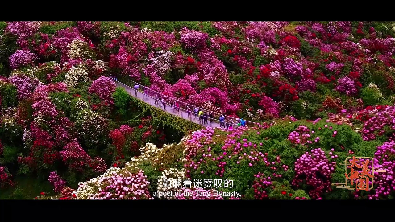 大美中国（第4集）——一城一景（中文版）