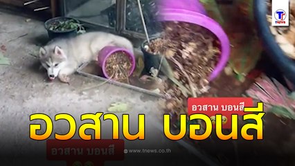 อวสาน บอนสี ได้ยินเสียงแปลกออกไปดู อีแม่กำหมัดหนักมาก ต้นไม้พังหมดเลย