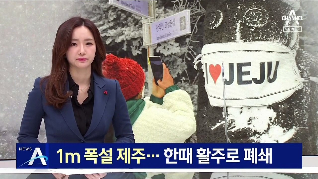 1m 폭설 내린 제주…한때 활주로 폐쇄에 결항 속출