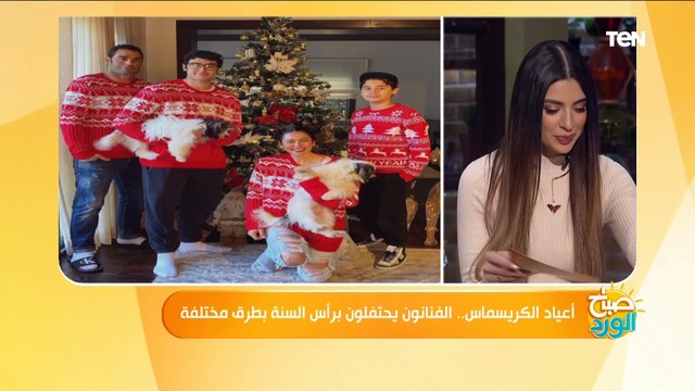 أعياد الكريسماس الفنانون يحتفلون باحتفالات رأس السنة بطرق مختلفة.. وناقد فني يعلق