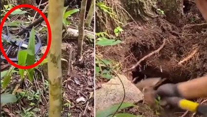 Dedektöründe gariplik olduğunu fark eden defineci, mezarı kazmaya başladı! Topraktan çıkardığı kutudakiler hayran bıraktı