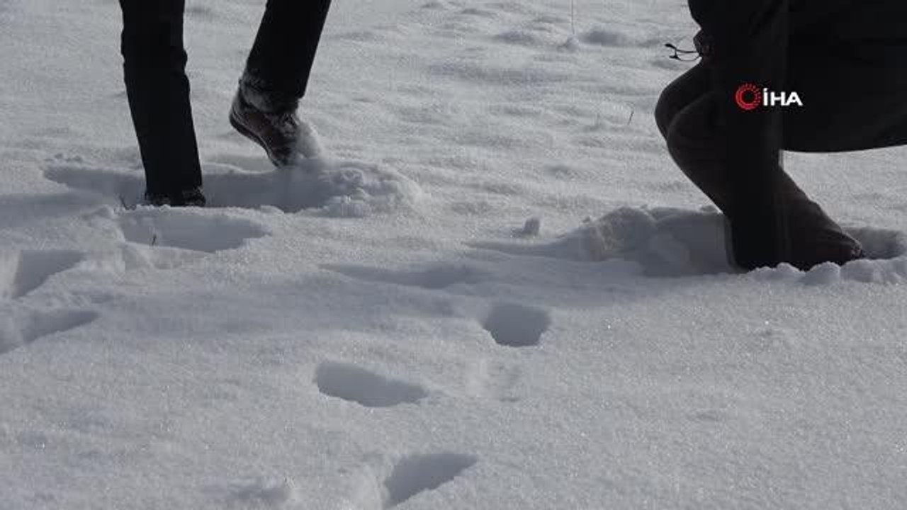 Sivas Ziraat Odası Başkanı Çetindağ "Yağan karın ülke ekonomisine katkısı var"
