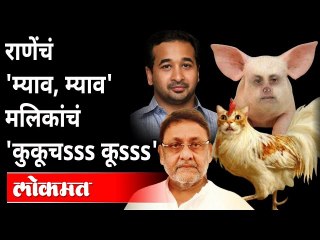 नवाब मलिक, नितेश राणेंच्या ट्विटने महाराष्ट्राची मान शरमेनं खाली गेली? Nitesh Rane VS Nawab Malik