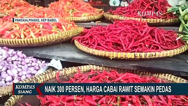 Naik Drastis! Harga Cabai Rawit Sentuh Rp150 RIbu!