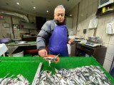 Balıkçılar umudunu sezonun son üç ayına bağladı