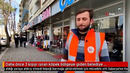 Daha önce 3 kişiyi ısıran köpek bölgeye giden belediye görevlisine böyle saldırdı