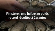 Finistère : une huître au poids record récoltée à Carantec