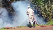 Corpo de Bombeiros combate incêndio ambiental na Av. Piquiri