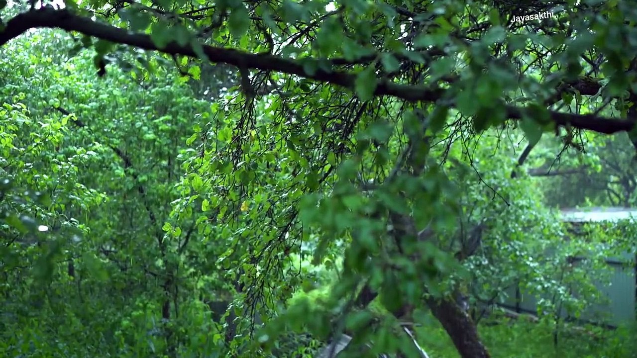 Relaxing music with rain _stress free _ motivational_ calm _nature