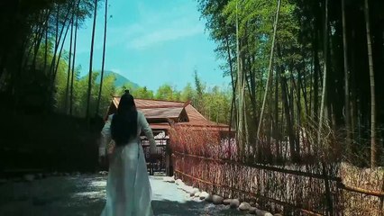 Tân Tuyệt Đại Song Kiêu 2020 tập 35 | Trần Triết Viễn, Hồ Nhất Thiên