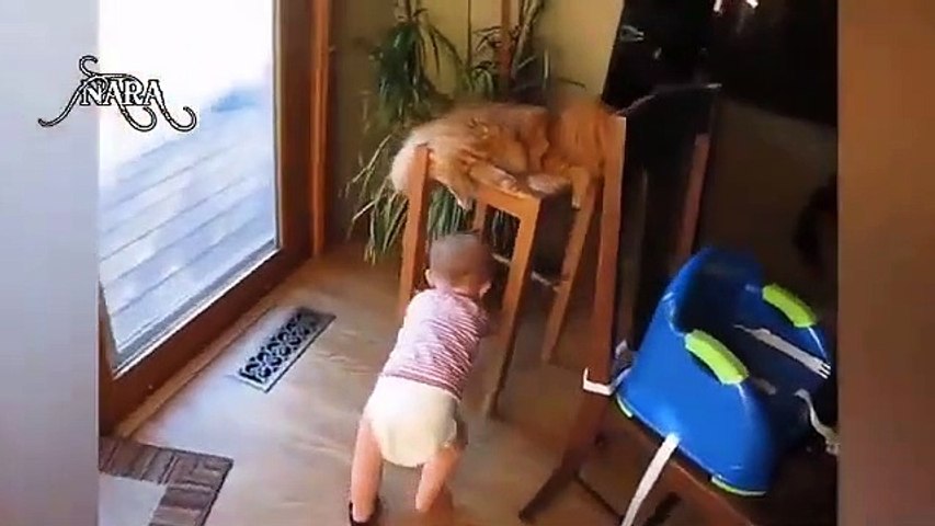 best video baby funny 2022