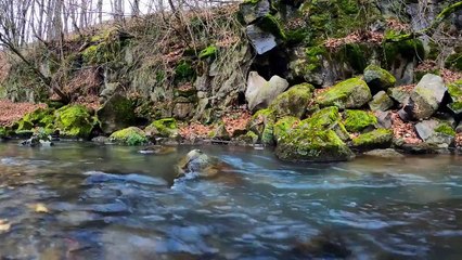 Relaxing Music - Music to relax with the sound of water and birds