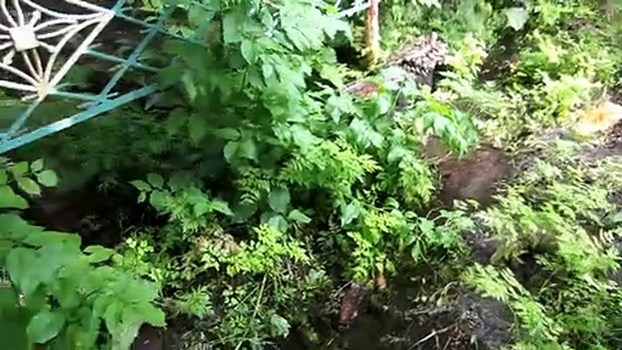 Покатушки 2021(родники)