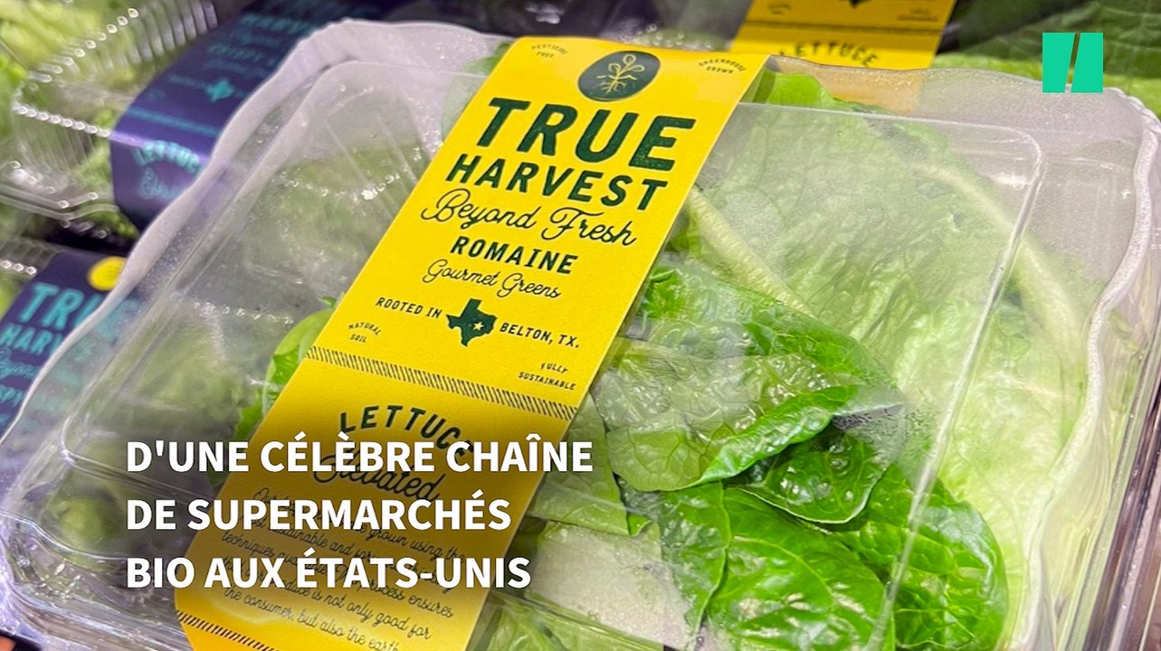 Cette grenouille aventureuse qui trouve enfin une famille est la plus mignonne histoire de Noël