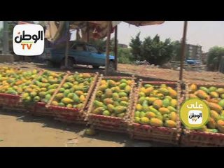 وثائقيات الوطن قريبا علي الوطن TV