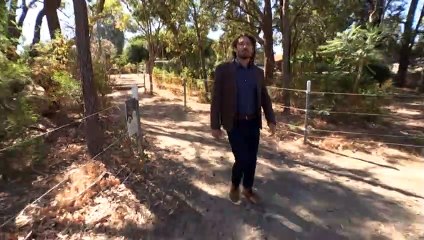 Momentum grows for councils to restrict roaming cats