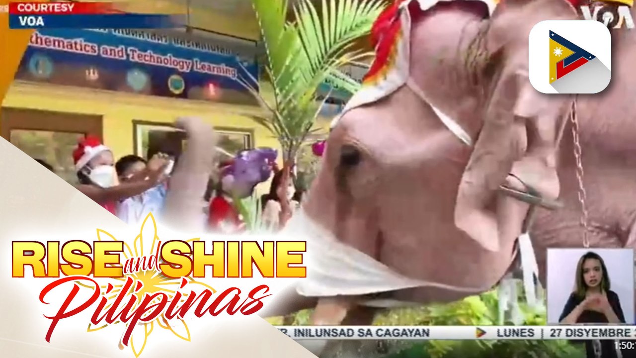 Mga elepante sa Thailand, namigay ng masks at sanitizers