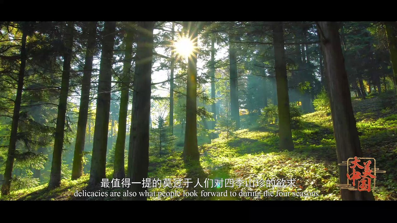大美中国（第5集）——寻味自然（中文版）