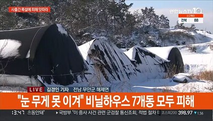 40㎝ 폭설에 비닐하우스 폭삭…서해안 눈 피해 잇따라