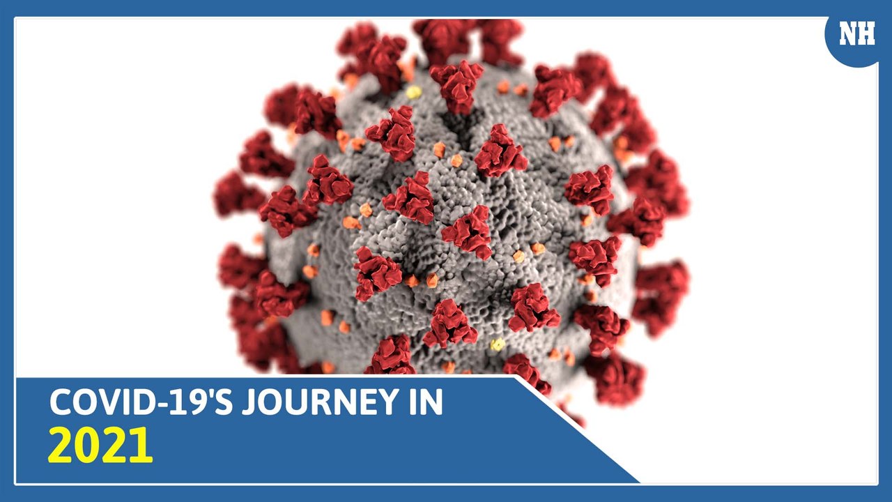 2nd wave, Black Fungus & new variant: The different phases of Pandemic in 2021