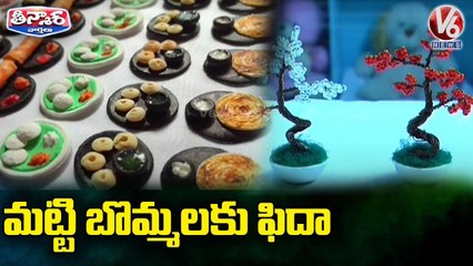 Fashion Designer Turned Miniature Artist, Making Livelihood through Online Commerce | V6 Teenmaar