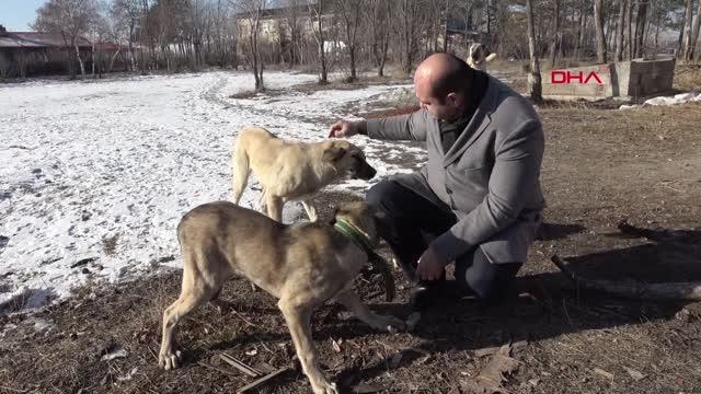 KAZANLARDA HAZIRLANAN YEMEKLER SOKAK HAYVANLARINA DAĞITILDI