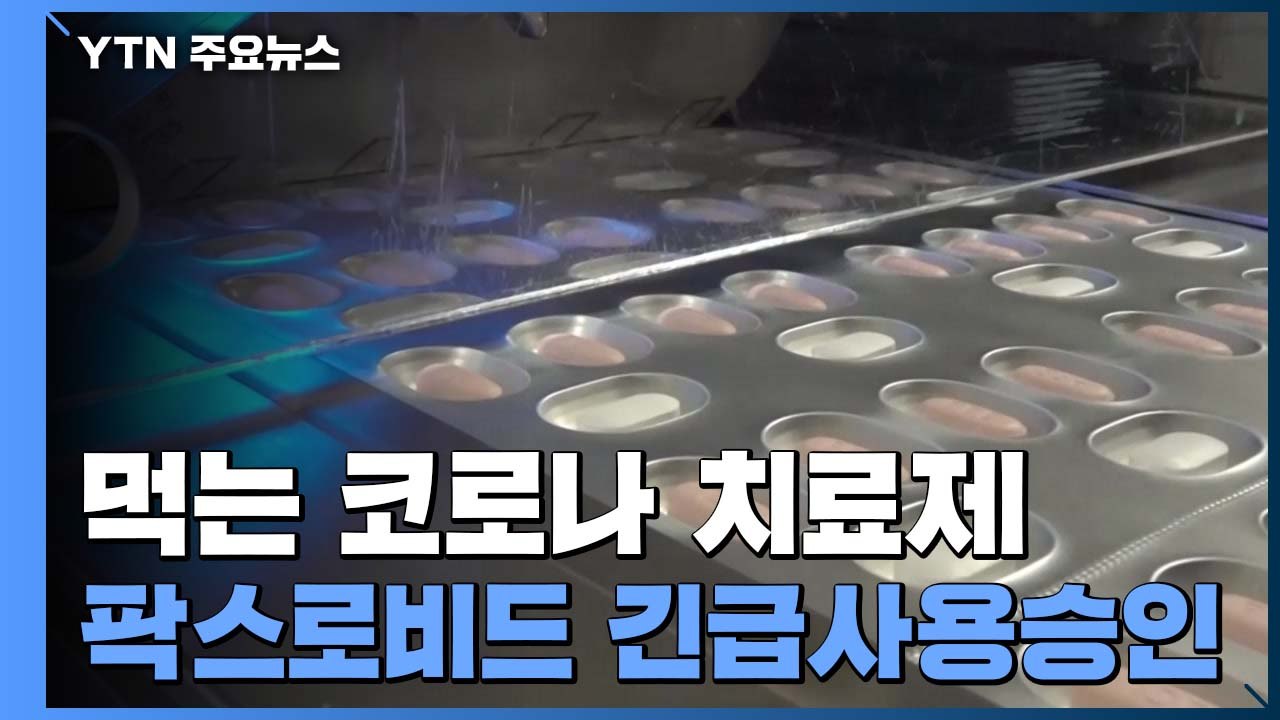 화이자 먹는 치료제 긴급사용승인..."거리두기 연장 여부 금요일 발표" / YTN