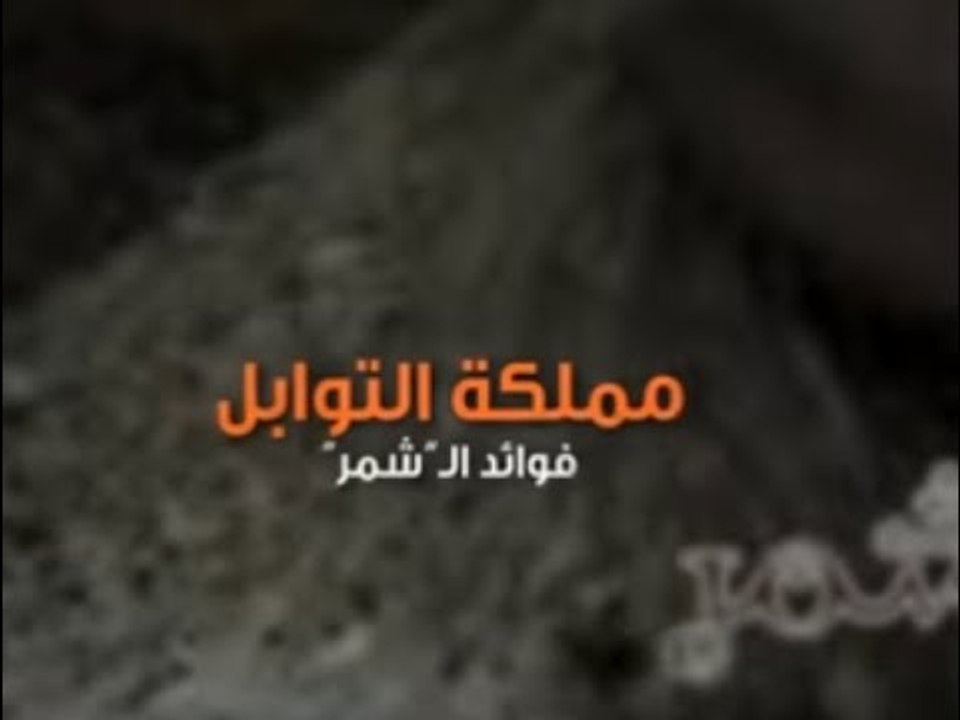 مملكة التوابل فوائد الشمر