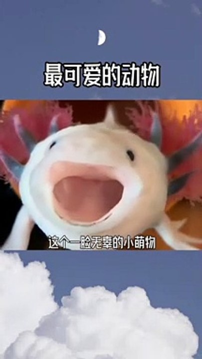 AWW SO CUTE! Cutest animals Videos Compilation Cute moment of the Animals - Cutest Animals #06