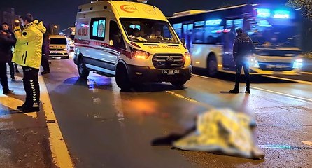 Otomobilin çarptığı yaya öldü, sürücü kaçtı