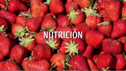 Dr.  Zorrilla : ¿qué son las fístulas?