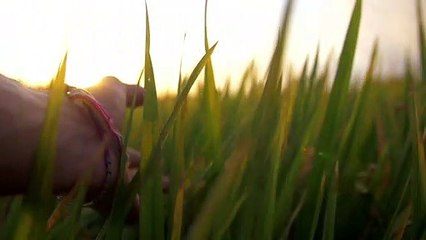 Music  –  Natural and relax
