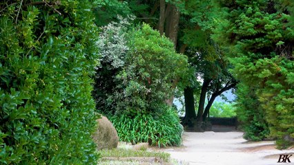 بعض من معاني (لا إله إلا الله) و ذكرها