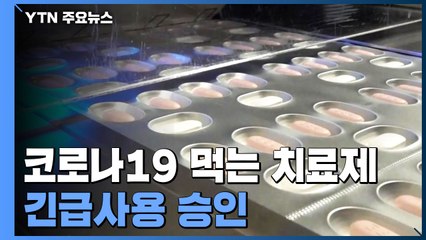 화이자 먹는 약 긴급사용승인..."100만4천 명분 계약 추진" / YTN