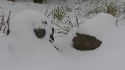 제주 산간 나흘째 눈...항공기·여객선 정상 운항 / YTN