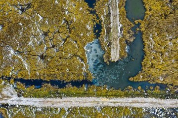 Son dakika haberleri! KAZ GÖLÜ'NDE TABLO GİBİ MANZARA