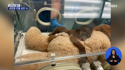 [굿모닝월드] 성탄절 선물 같은 너