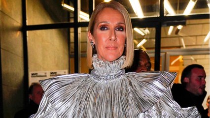 FEMME ACTUELLE - Céline Dion : elle échappe de peu à une agression à New-York