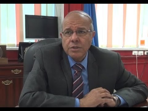 الجو عامل إيه..الدنيا ربيع شبورة ودرجات حرارة مرتفعة