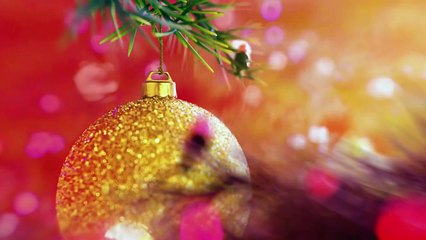 Famílias que mesmo com a dor da pandemia, seguiram em frente | Fé Na Vida | TV Globo