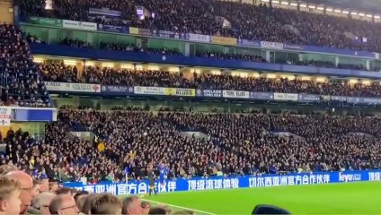 Romelu Lukaku Goal vs Brighton
