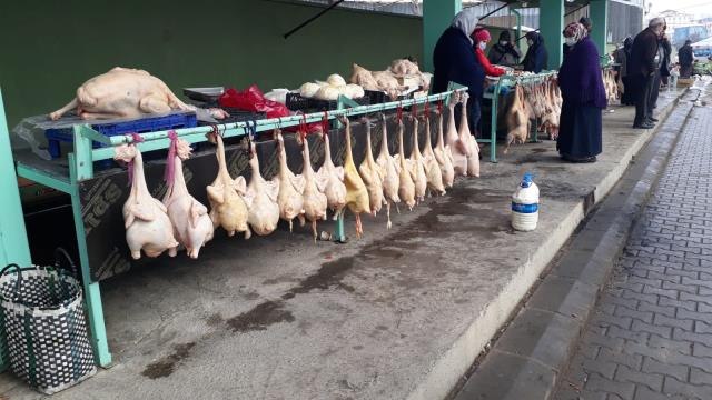 Doğal ortamda yetişen Eflani hindisi yılbaşı öncesi rağbet görüyor