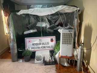 Evde kenevir yetiştiren iki şüpheliden biri tutuklandı